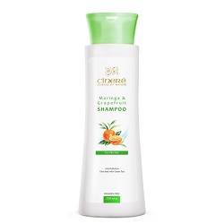 شامپو مخصوص موهای چرب 250 میلی لیتر سینره